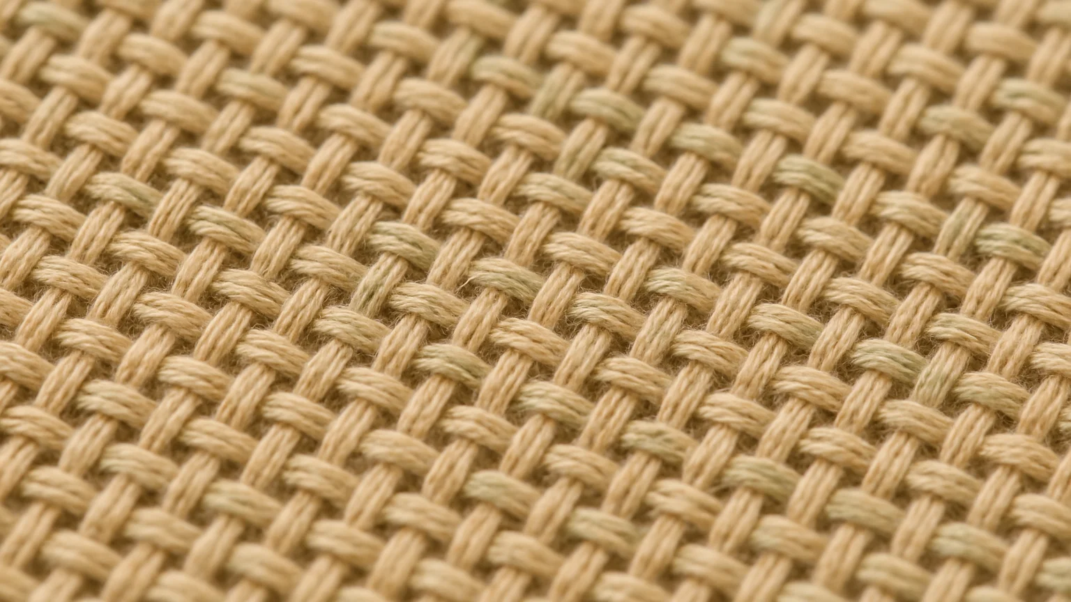 Macro photograph of a woven webbing surface showing the weave pat
